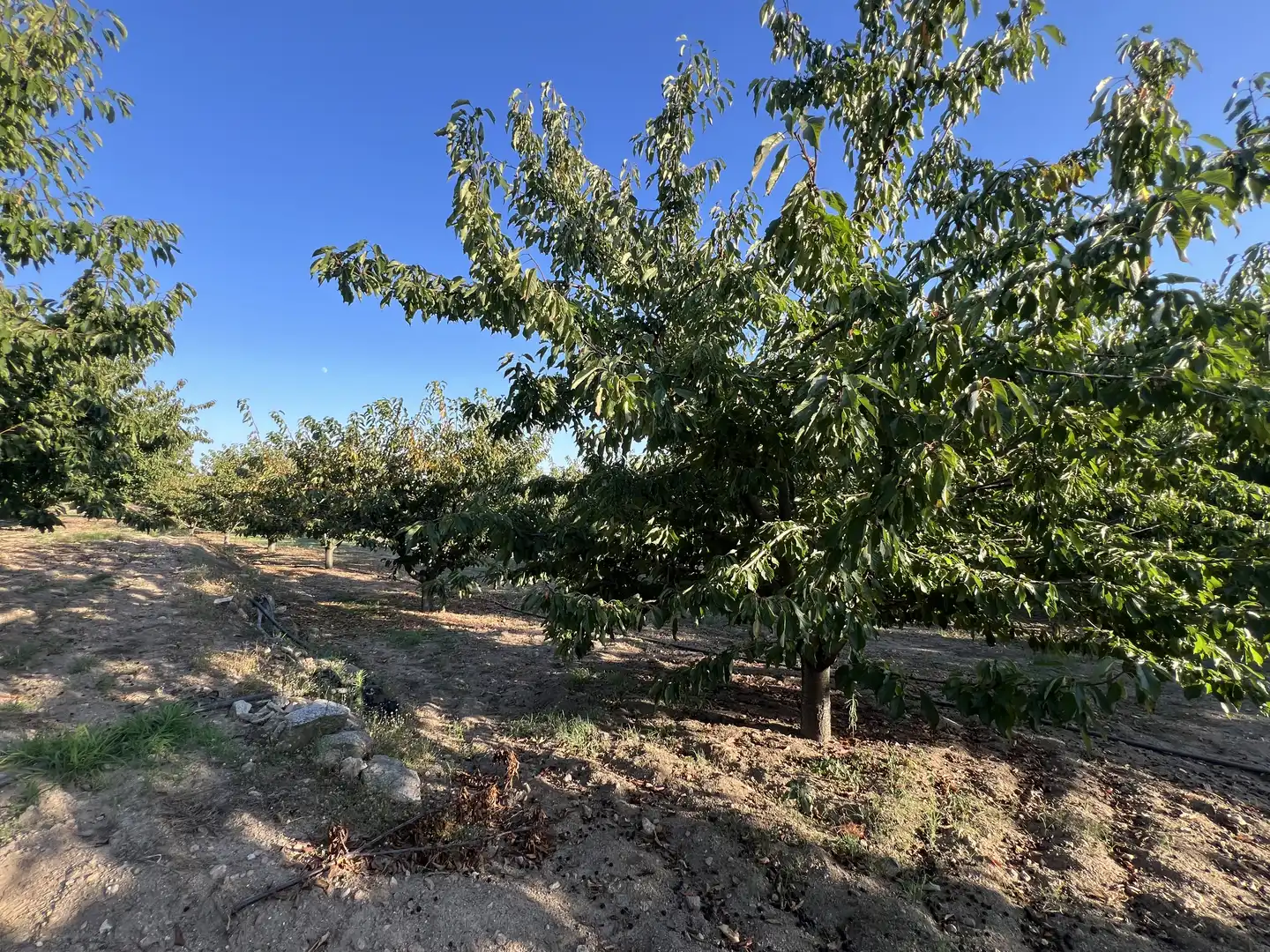Terreni e lotti in vendita a Garganta la Olla, imagen 16