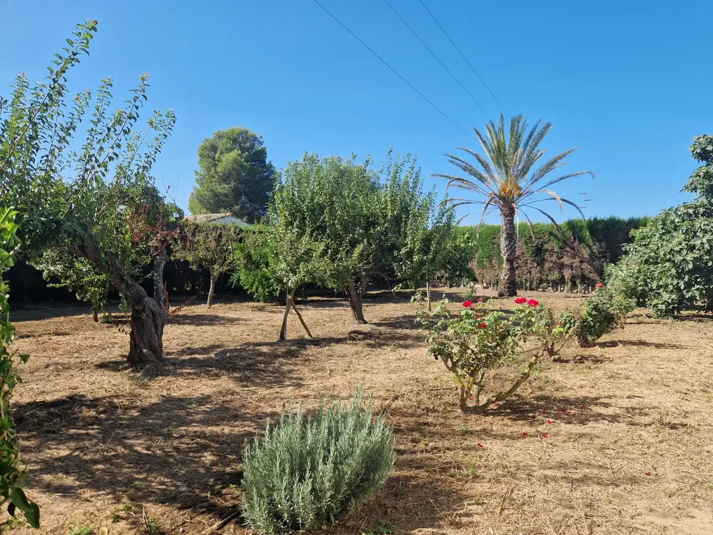 Jardín de Finca rústica en venta en Jerez de la Frontera con Aire acondicionado, Calefacción y Piscina
