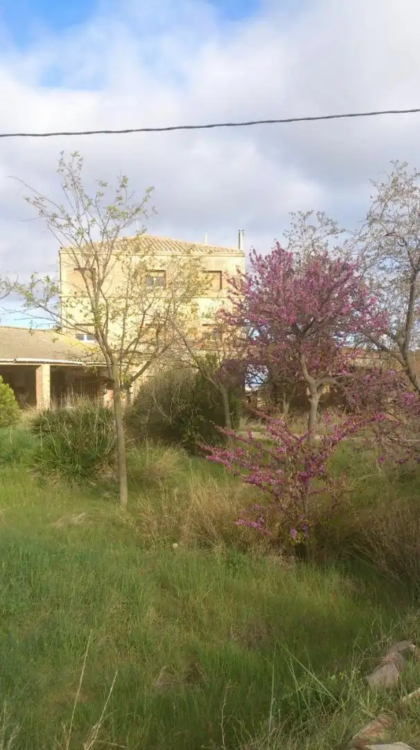Jardín de Residencial en venta en Sant Martí de Riucorb