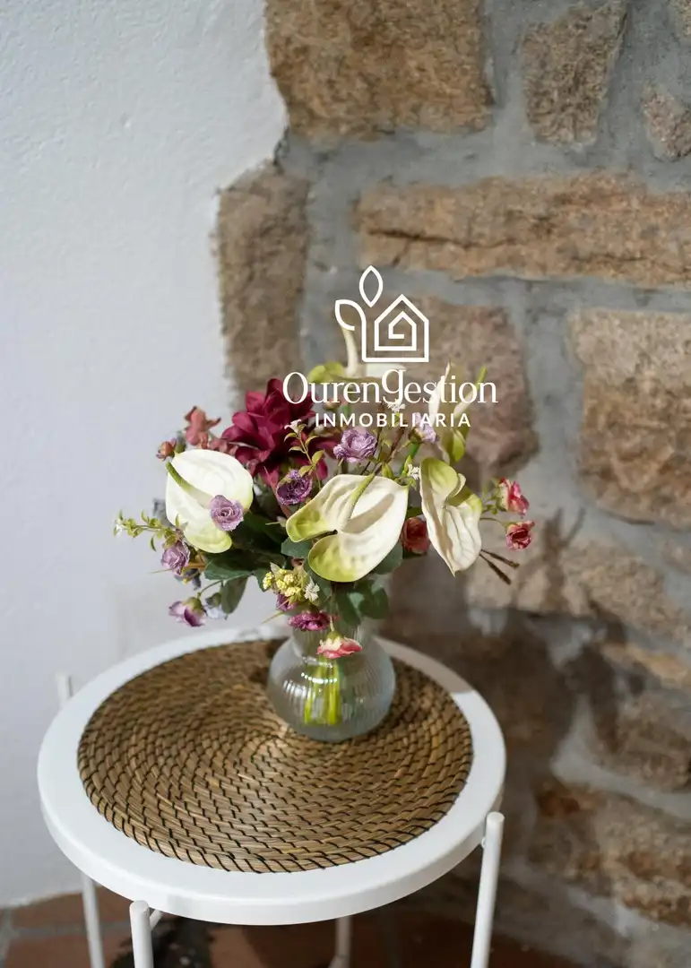 Country homes for sale in O Pereiro de Aguiar   with Furnished and Balcony
