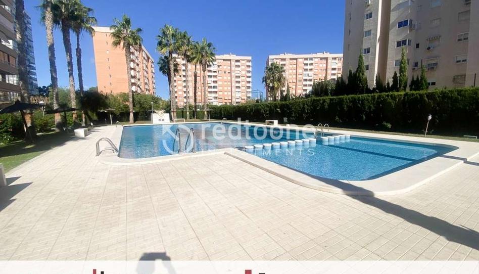 Foto 1 de Piso de alquiler en Playa de San Juan, Alicante