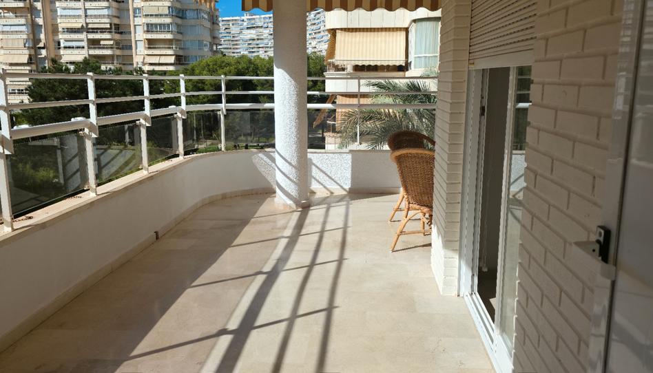 Photo 1 of Flat to rent in Playa de San Juan, Alicante