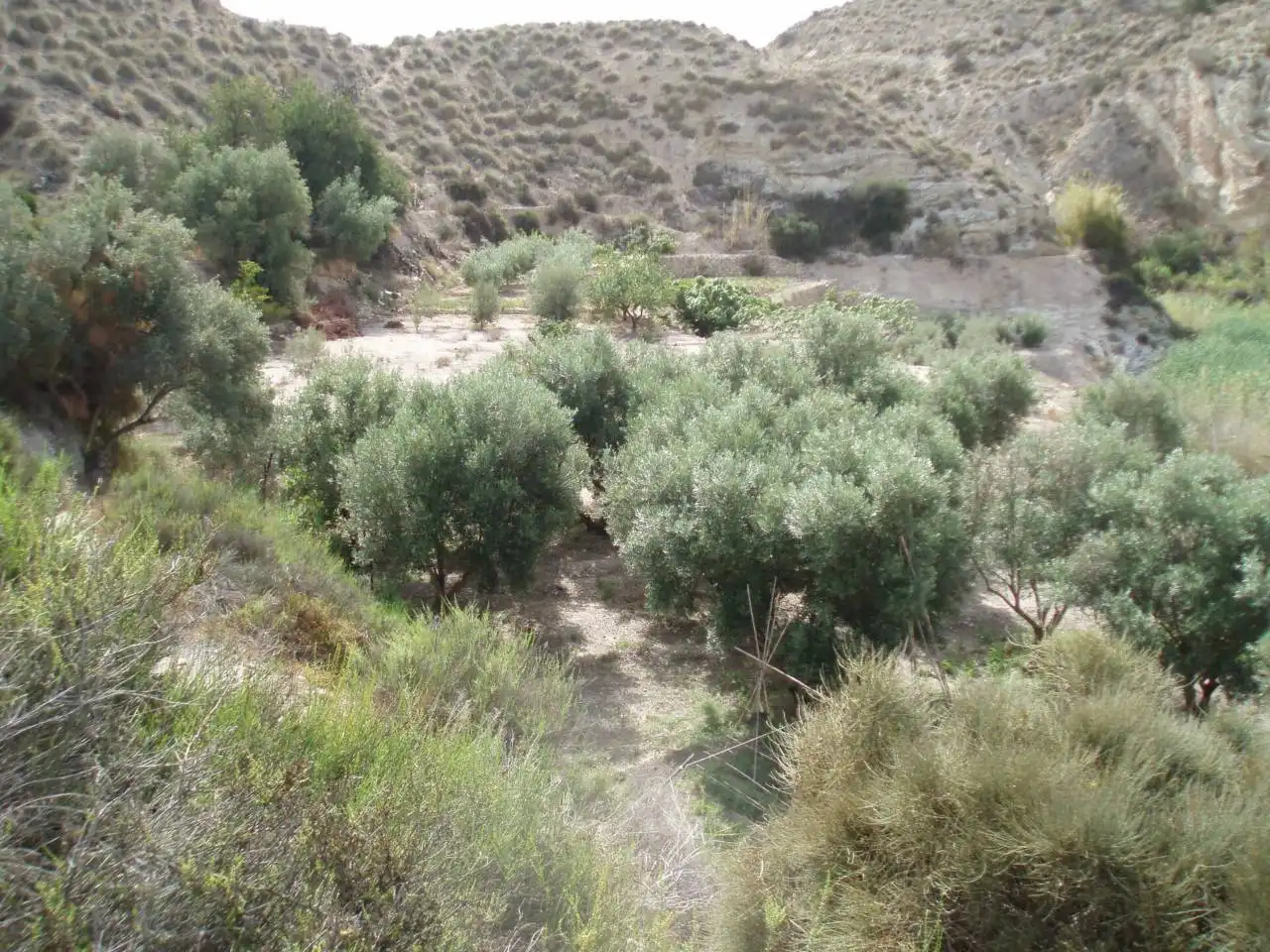 Terreni e lotti in vendita a MONEGRE, imagen 7