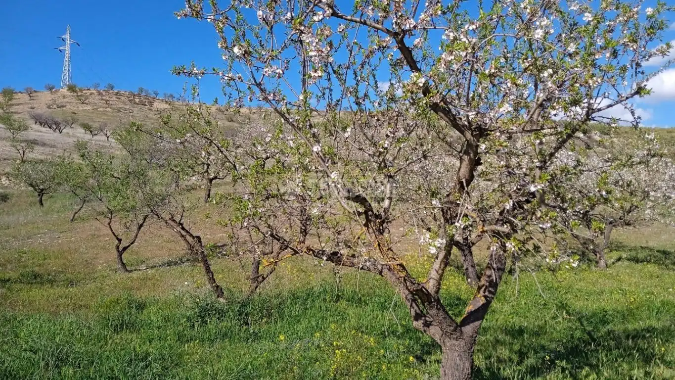 Terreny en venda en Gójar