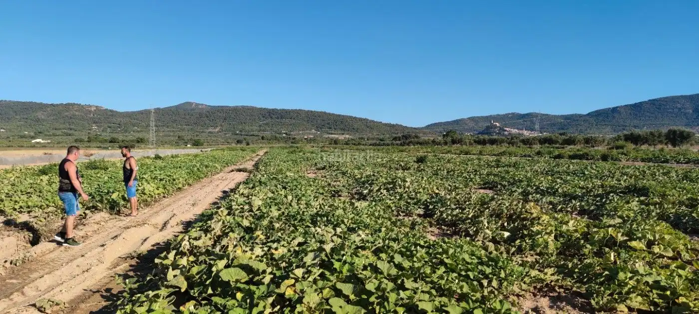 Residential land for sale in Calle Marco 10, imagen 2