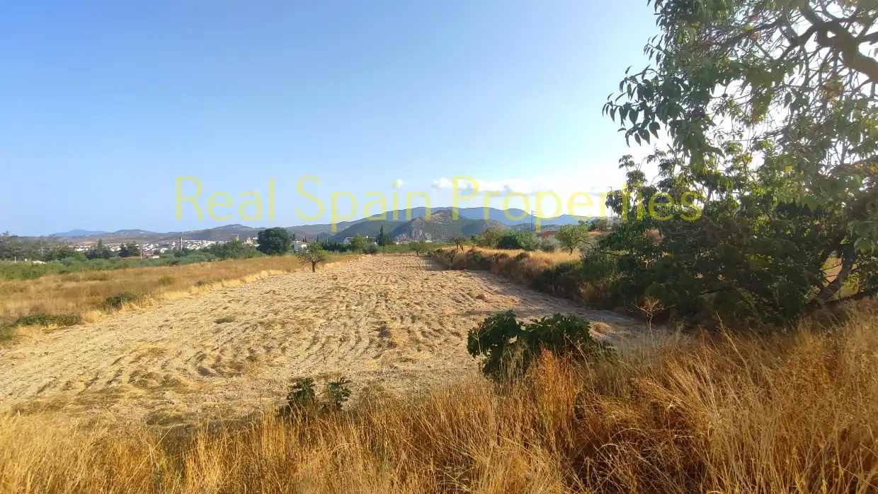 Casa rústica en venta en Vélez-Rubio, imagen 19