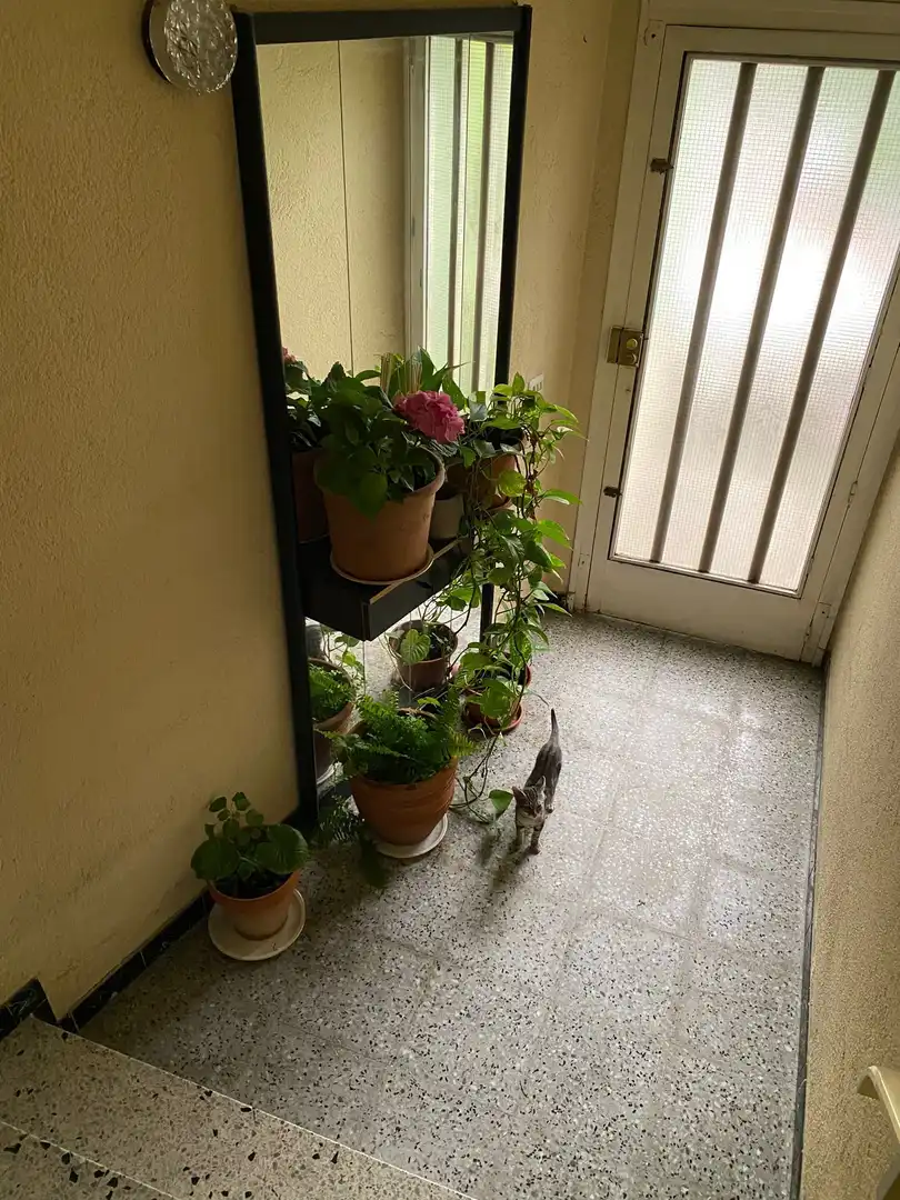 Terrassa de Casa o xalet en venda en Blanes amb Calefacció, Jardí privat i Terrassa