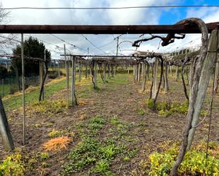 Land for sale in Arbo