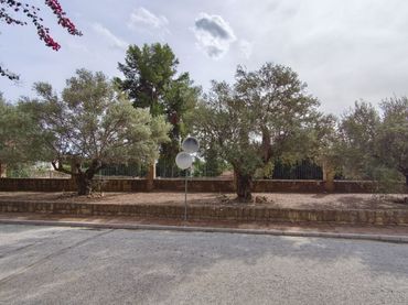 Terreno residenziale in vendita a Milla de Oro