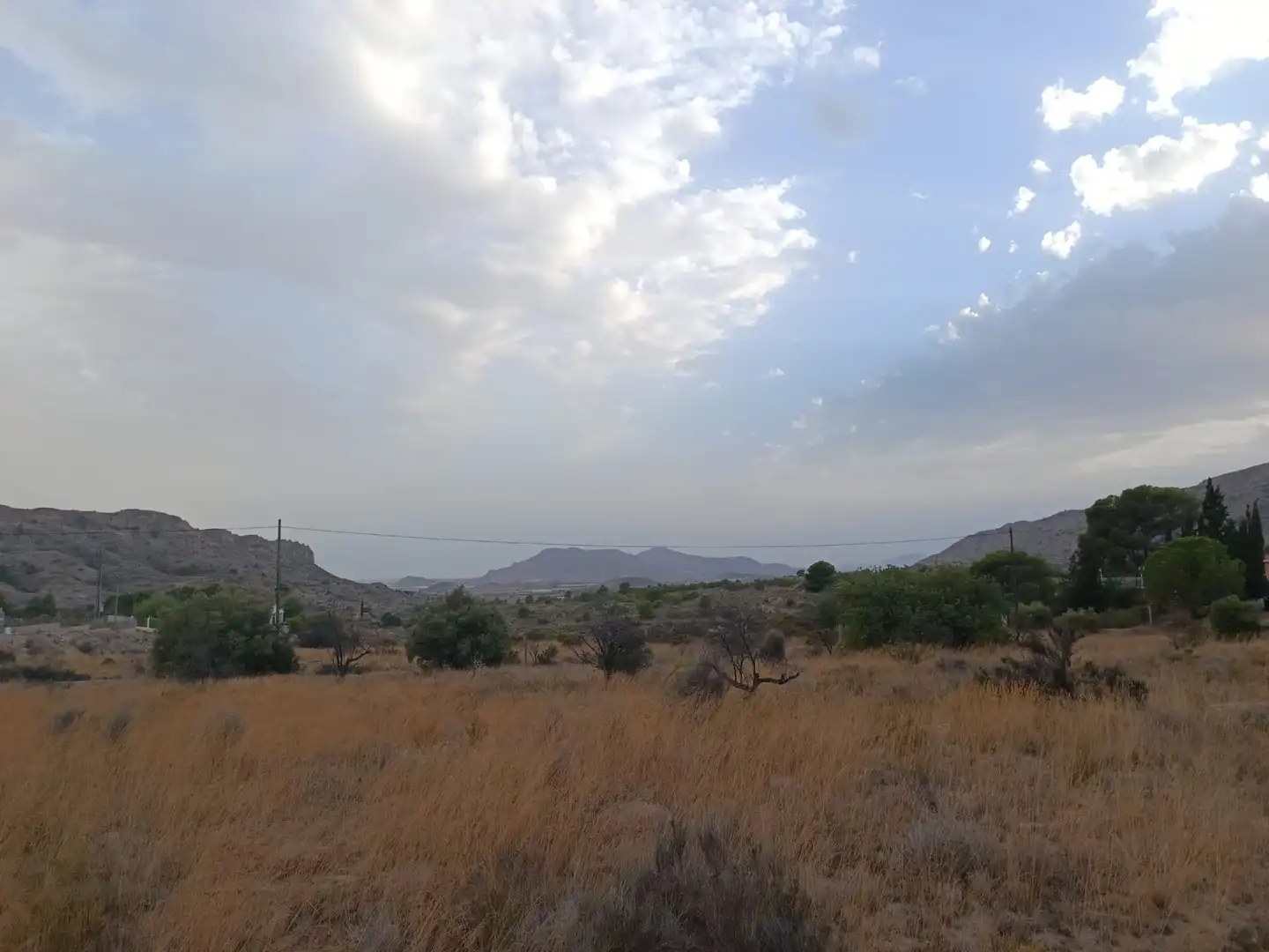 Terreny rústic en venda a Agost