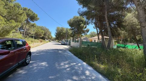 Parcela en Terol, immagine 4