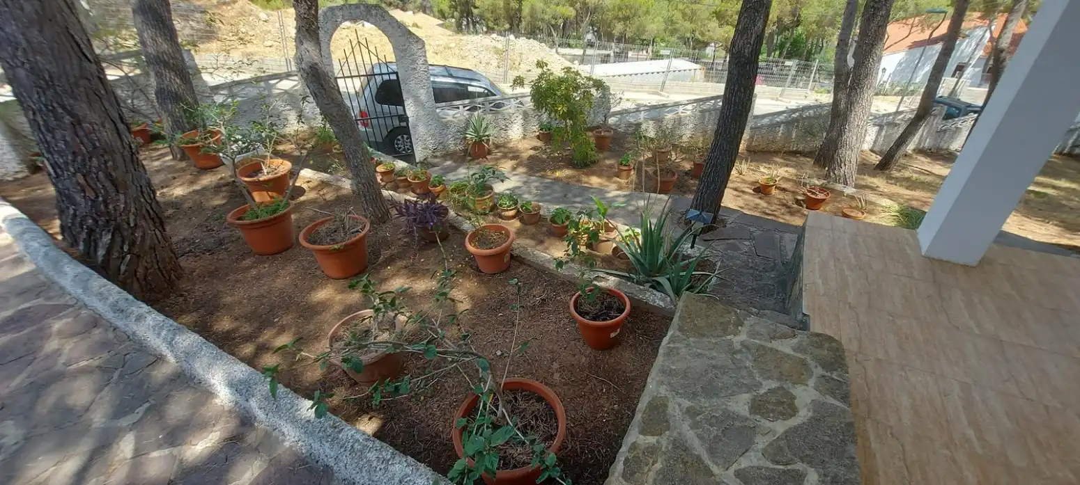 Jardín de Casa o chalet en venta en Torres Torres con Jardín privado, Terraza y Piscina