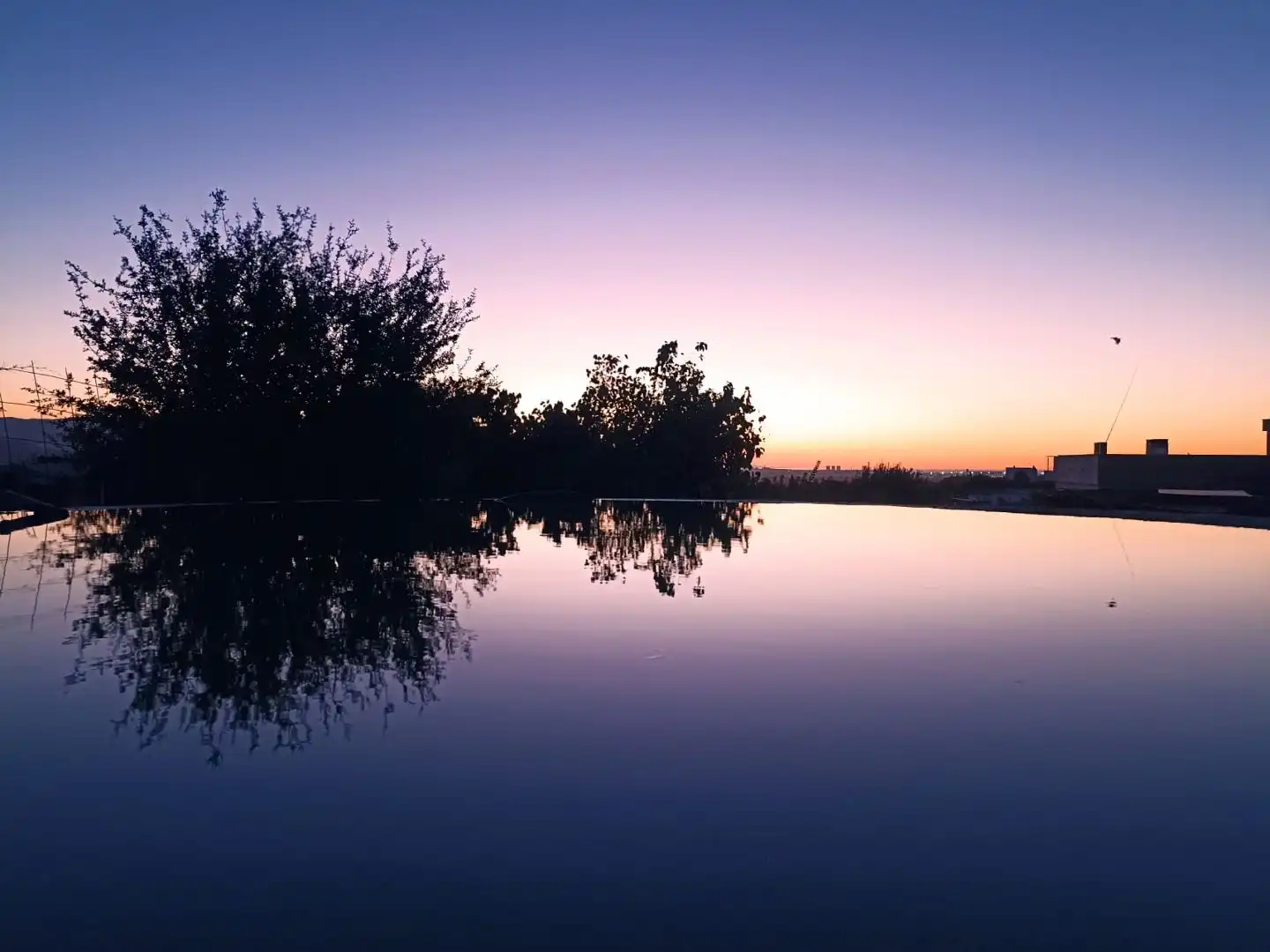 Piscina de Residencial en venda en Alhaurín de la Torre