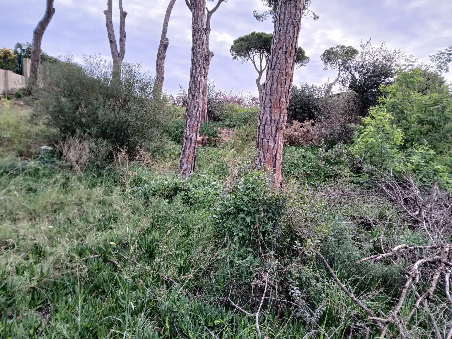 Terrenys i solars en venda a Francesc Macià 88, imagen 4