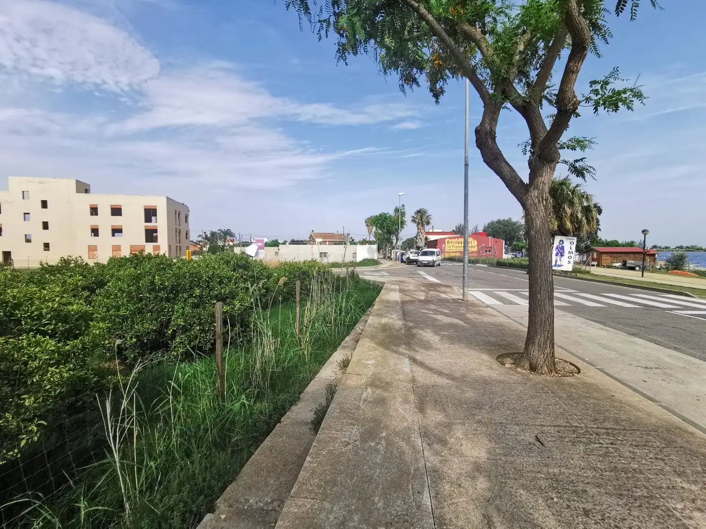 Exterior view of Buildings for sale in Deltebre