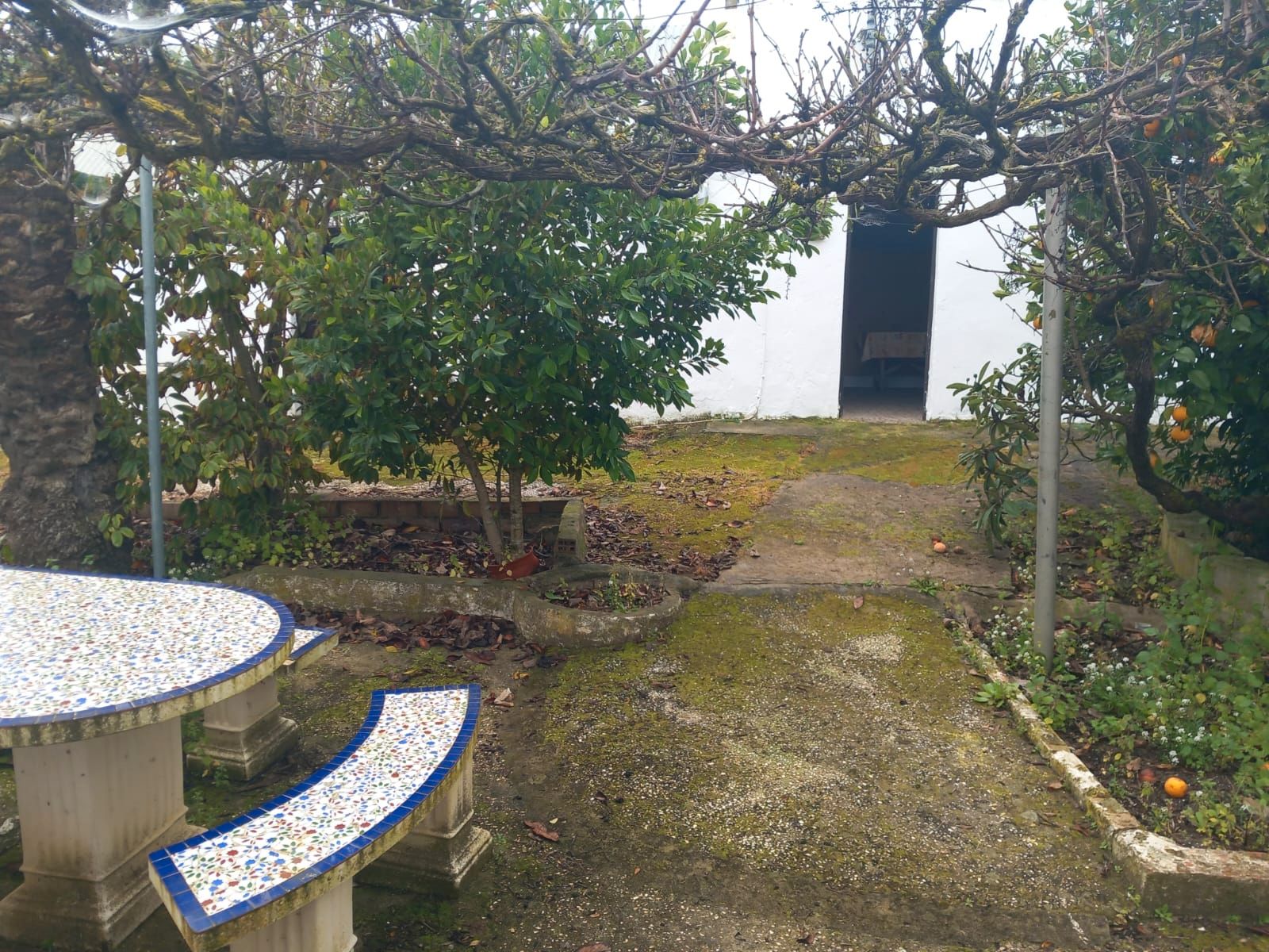 Garden of Country house for sale in Barbate  with Private garden, Storage room and Swimming Pool