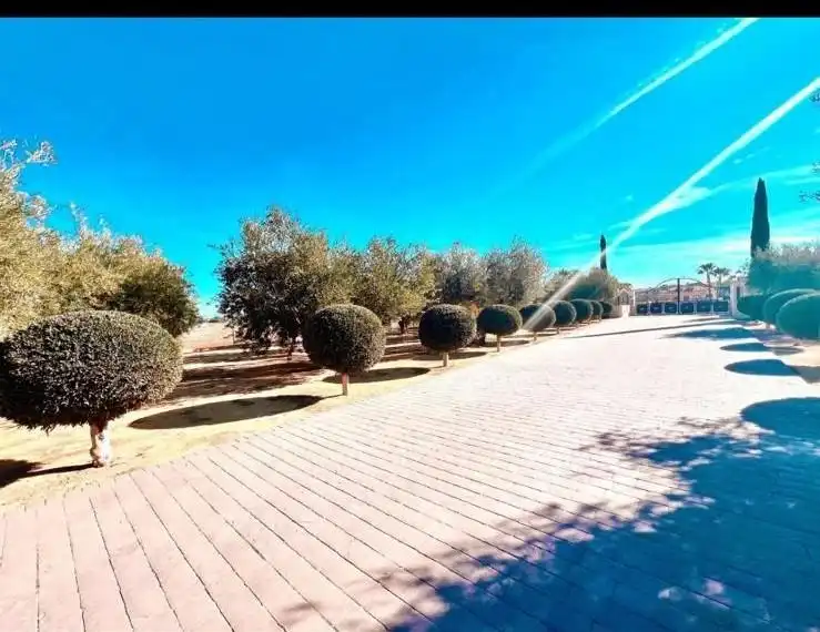 Chalet con piscina en venta en Pedanías Oeste, imagen 7
