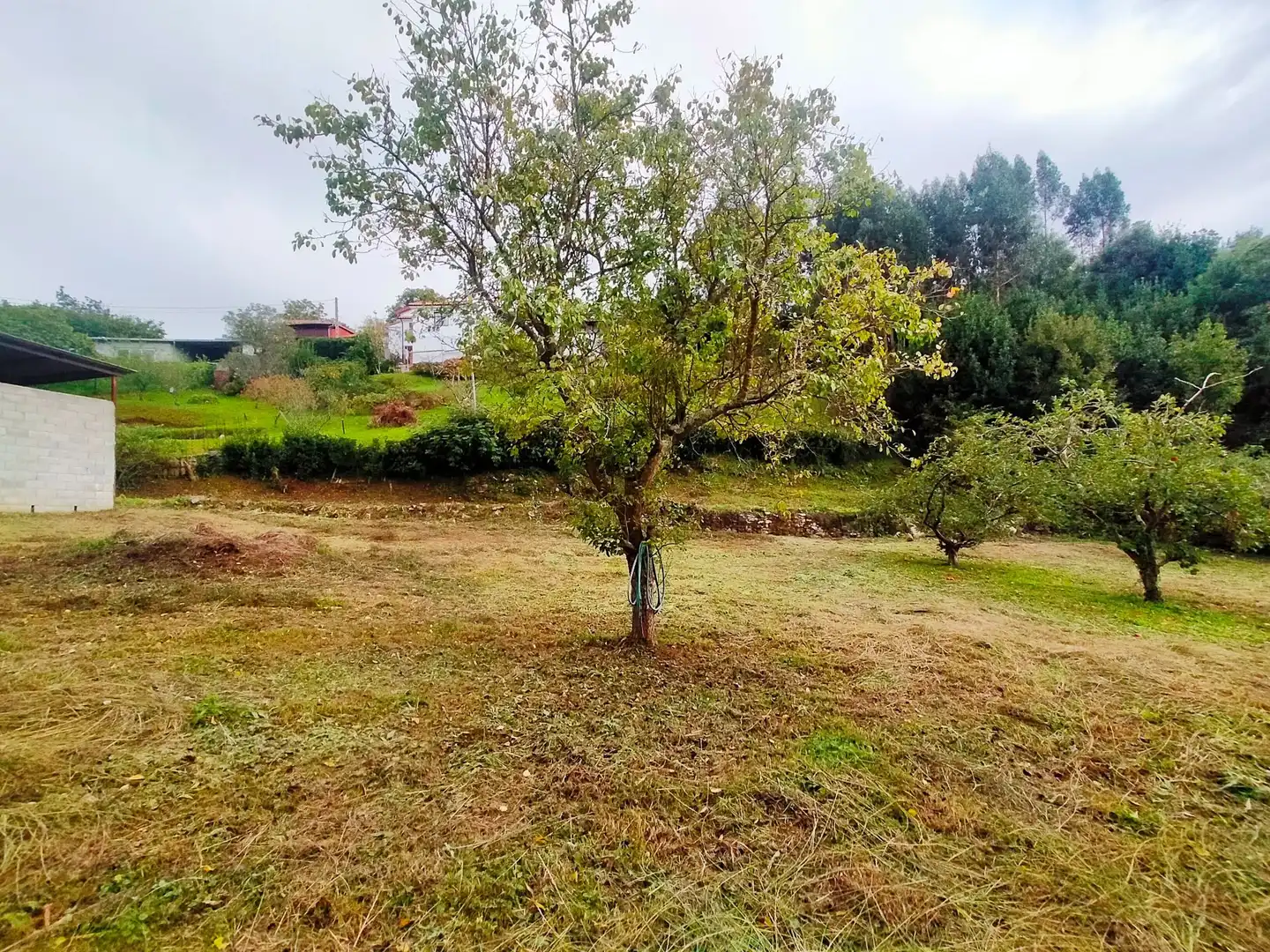 Finca rústica en venta en Pravia con Calefacción, Jardín privado y Trastero