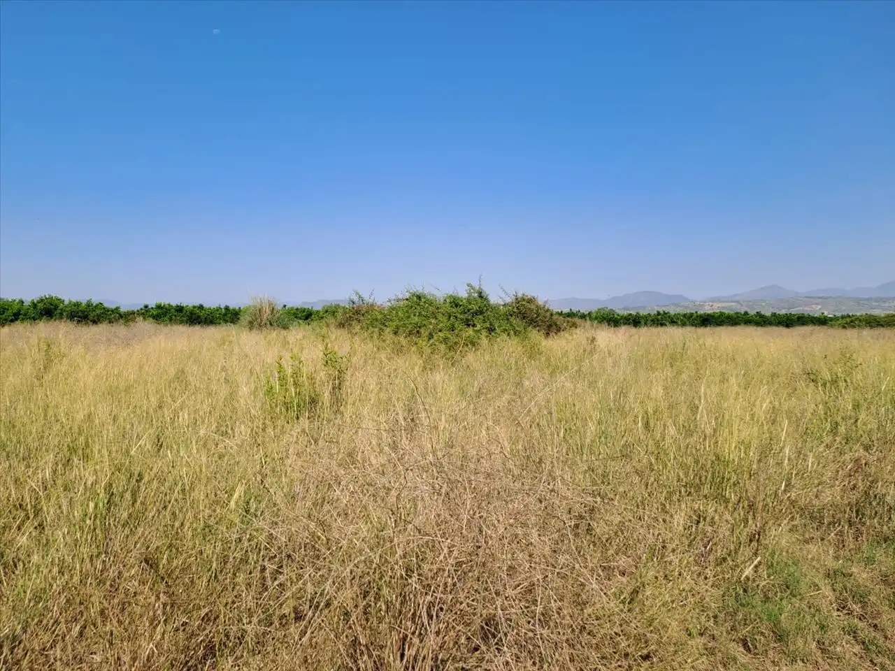 Terreny residencial en venda a POLÍGONO 4, imagen 6