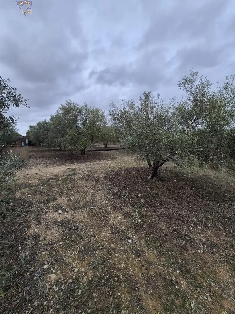 Finca rústica en venda a Arcos de la Frontera
