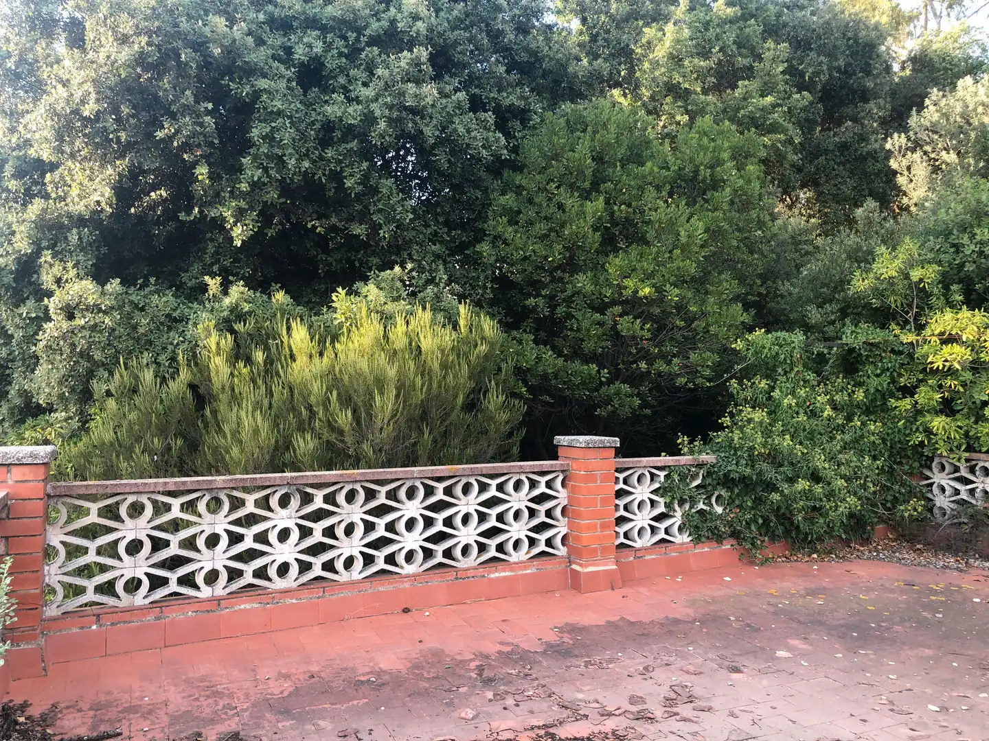 Terreno residencial en venta en Camino Mataro de 67, imagen 8