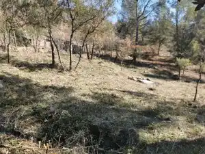 Residential land for sale in Avinguda Joan Miró 89, imagen 11