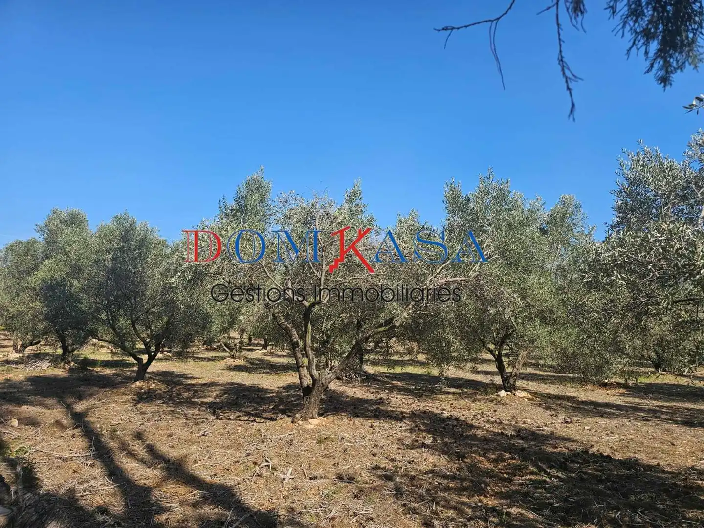 Rural land for sale in Roquetes, imagen 9