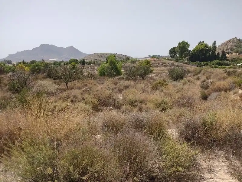 Terrain résidentiel à vendre à Calle Verdegás 12, imagen 2