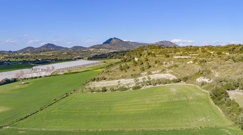 Parcela perfecta con proyecto para construir la casa de sus sueños en venta en Manacor, Mallorca, imatge 2