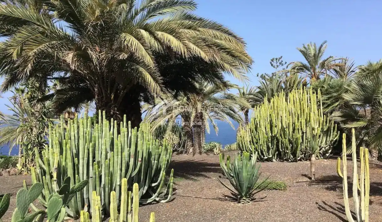 Jardín de Piso en venta en Adeje con Terraza, Piscina y Amueblado