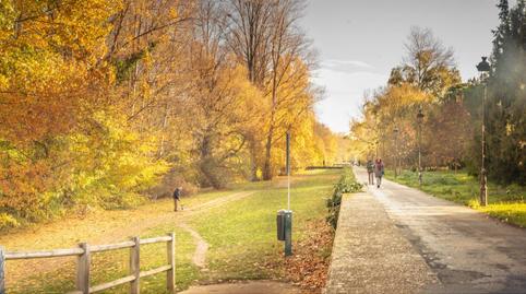 Foto 4 de Pis en venda a Molinillo, Santa Teresa  - San Pedro Cardeña, Burgos