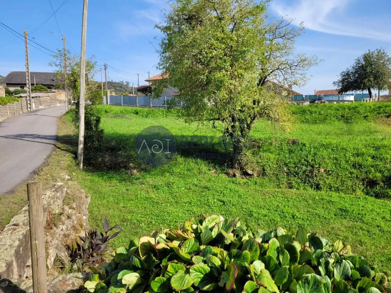 Wohnbaugrundstück zum Verkauf in Rua das Tomadas