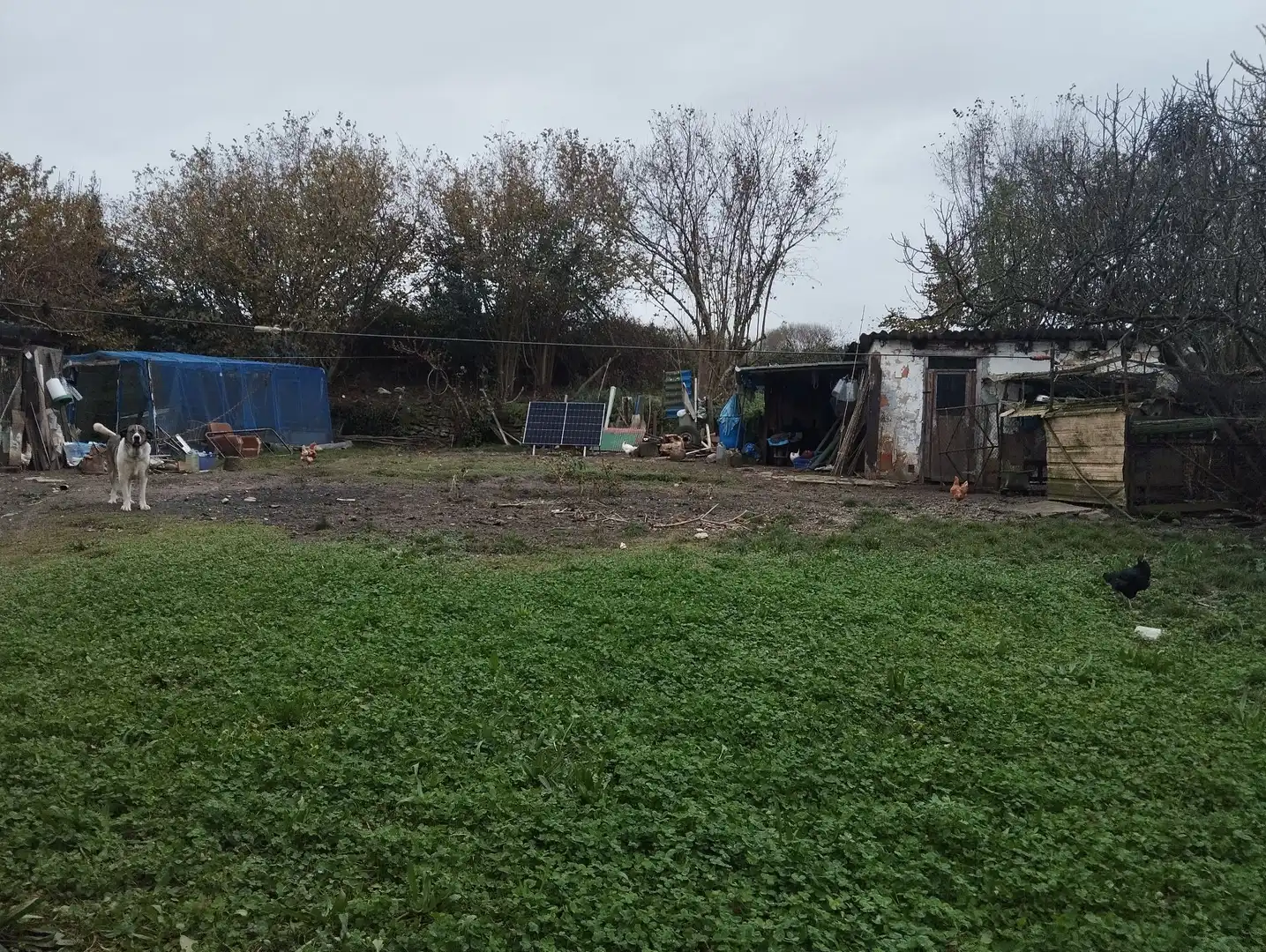 Casa con jardín en venta en SAN PEDRO, imagen 13