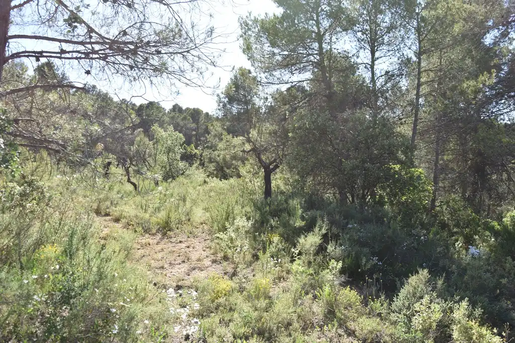 Terreni e lotti in vendita a Cretas, imagen 7