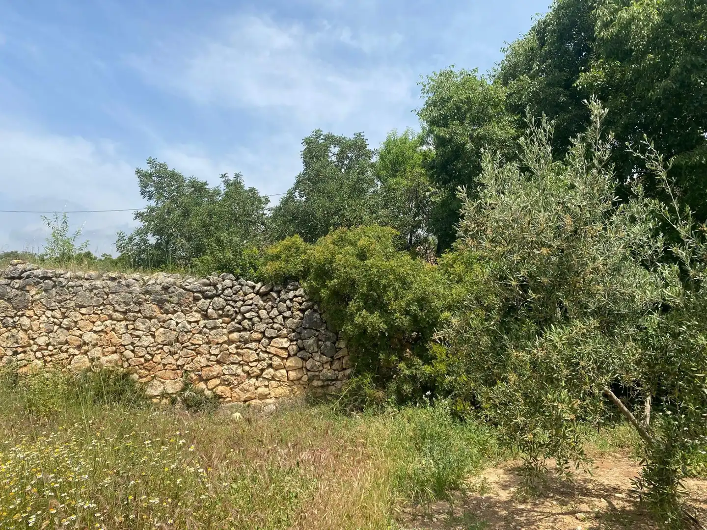 Finca rústica en venta en Enguera
