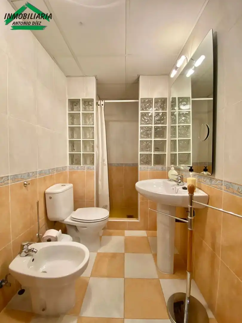Bany de Casa o xalet en venda en Aspe amb Aire condicionat, Terrassa i Moblat