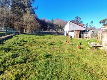 Terreno residenziale in vendita a Mos