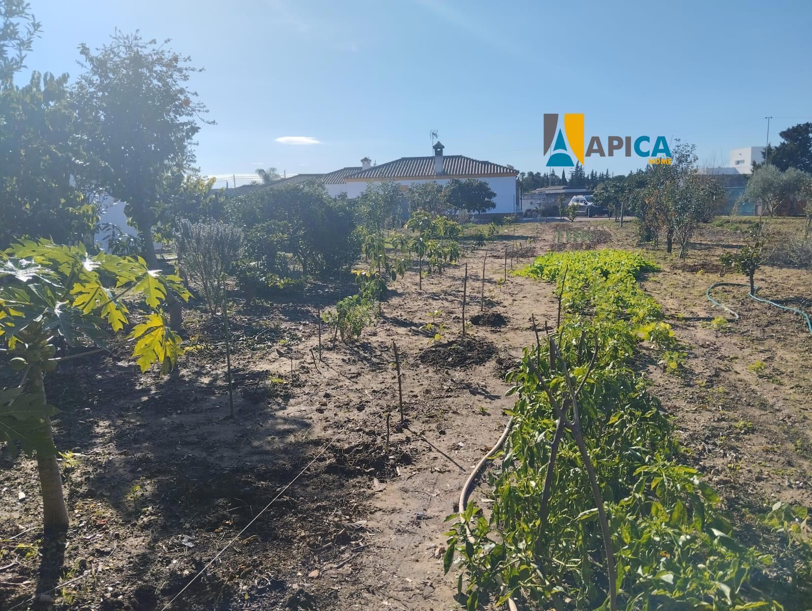 Casa o xalet en venda en Chiclana de la Frontera amb Calefacció, Traster i Moblat