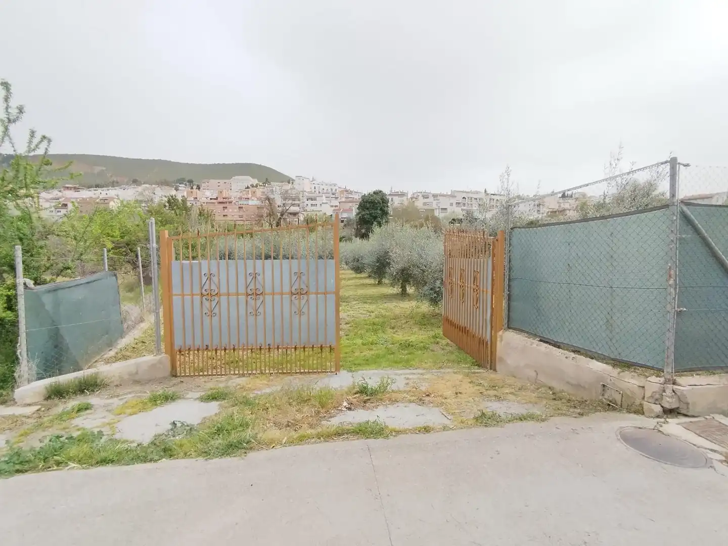 Terreni e lotti in vendita a Carretera Cenes de la Vega, imagen 4