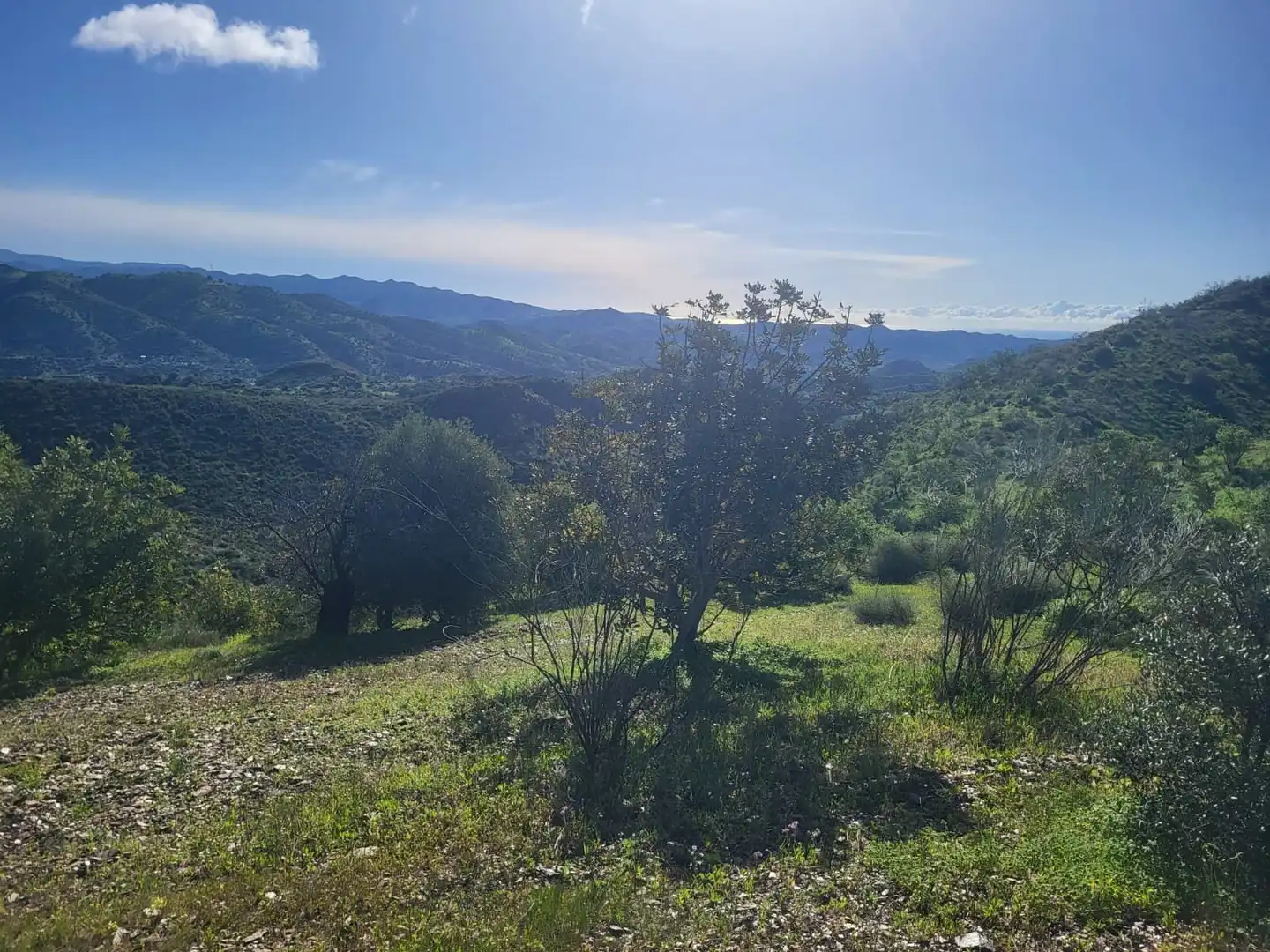 Terreno rústico en venta en Almogía, imagen 6