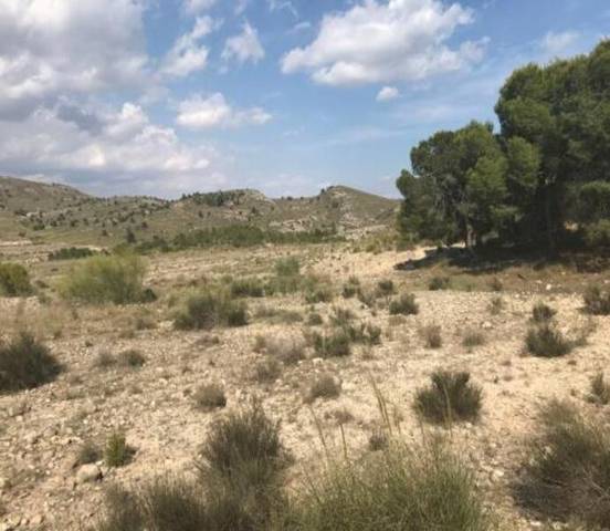 Terreno residencial en Venta en Benis en Cieza