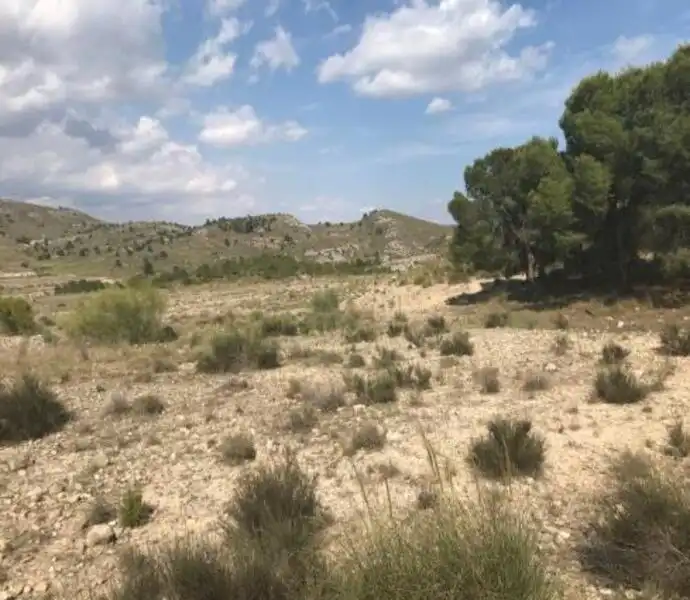 Terreny residencial en venda a Benis