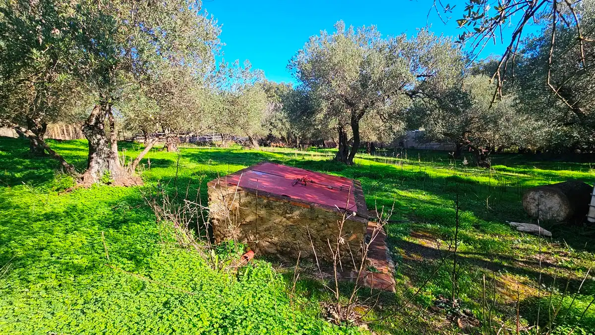 Terreno en venta en Higuera de la Sierra