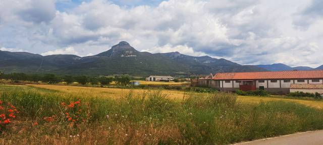 Local comercial en Venta en La Sotonera