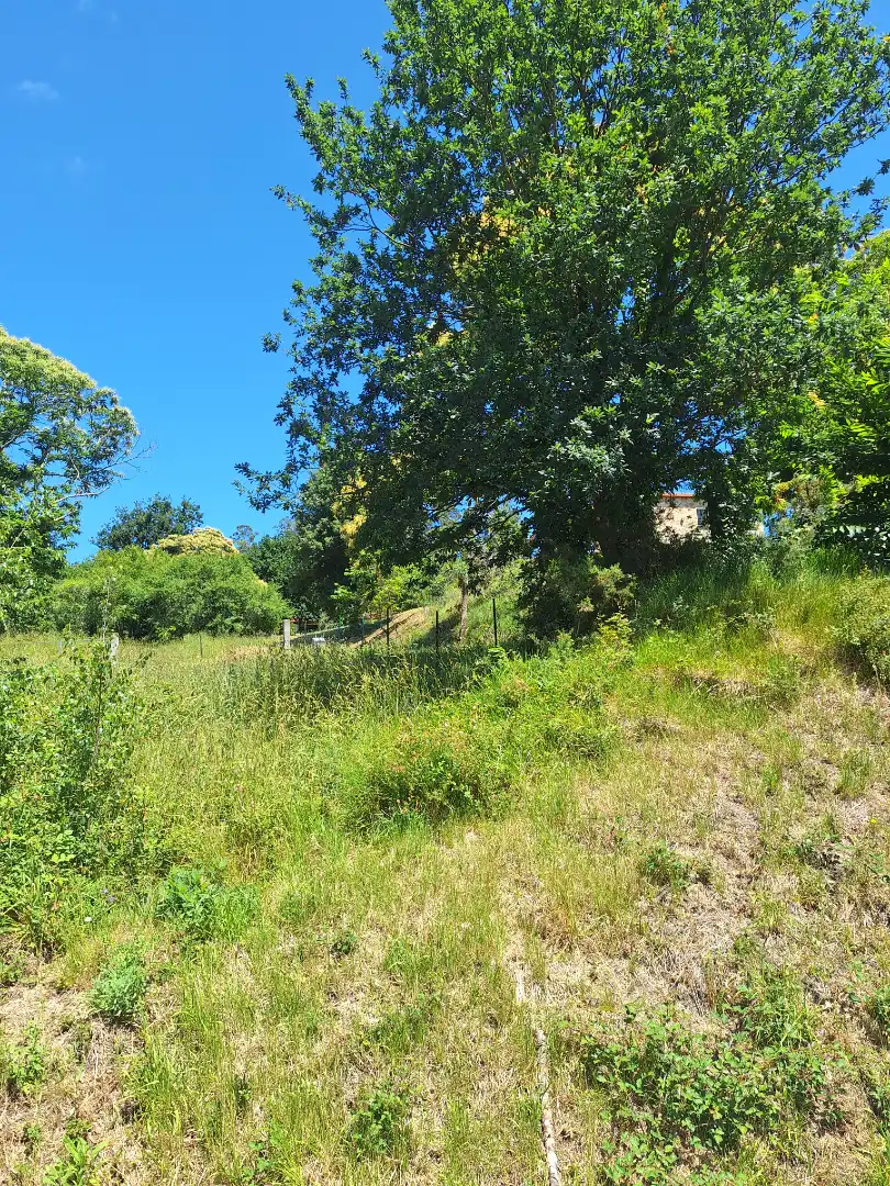 Grundstücke zur Miete in Culleredo