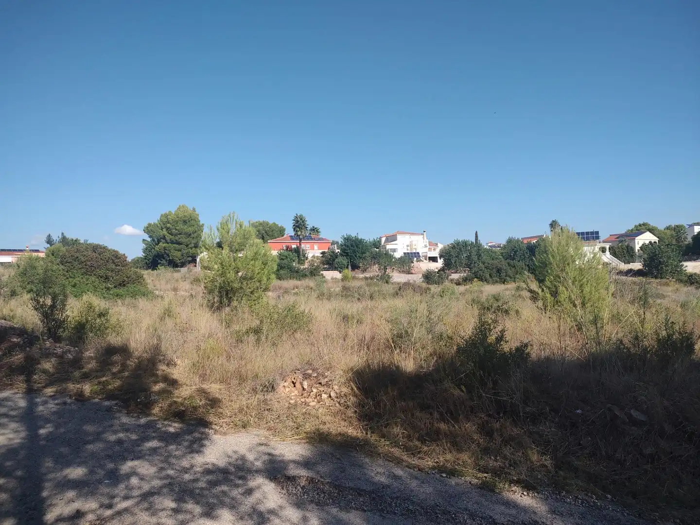 Terreno rústico en venta en Carrera Villa de Montroy, imagen 3