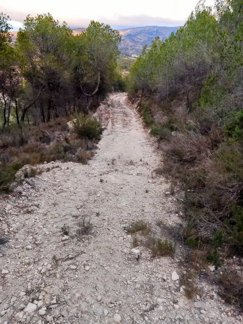 Terreno rustico in vendita a N/A, imagen 18