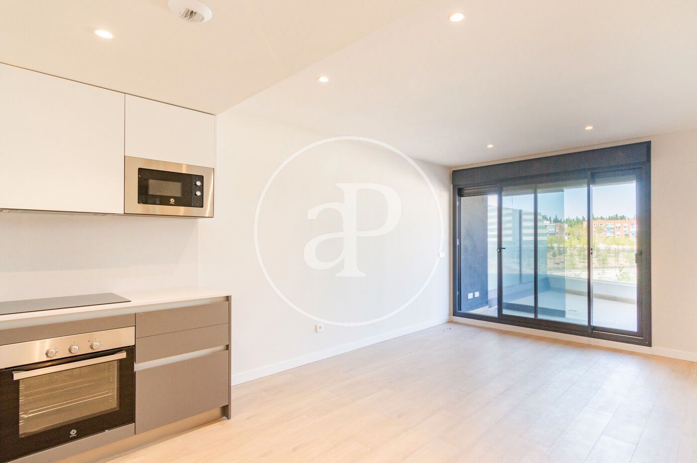 Living room of Flat to rent in  Madrid Capital  with Air Conditioner, Heating and Terrace