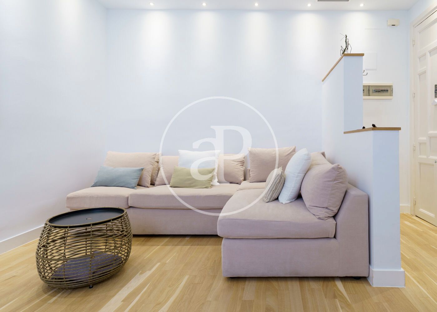 Living room of Flat to rent in  Madrid Capital  with Air Conditioner, Heating and Furnished