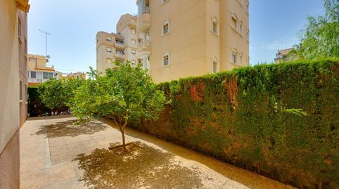 Foto 3 de Ático en venta en Calle Los Emilios, 8, Nueva Torrevieja, Torrevieja